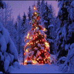 AUGURI-DI-BUONE-FESTE-E-DI-UN-SERENO-2014